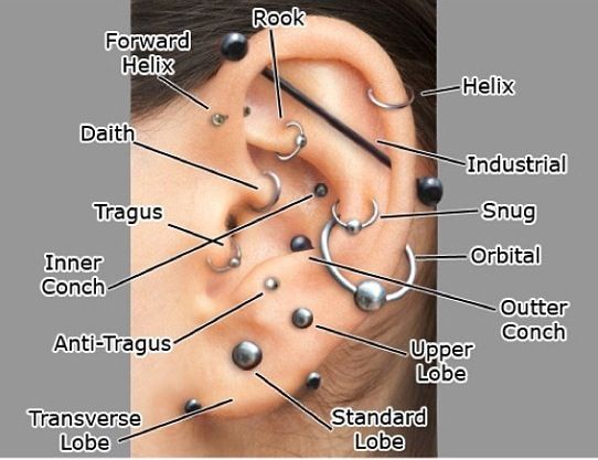 Chart For Ear Piercing With Names