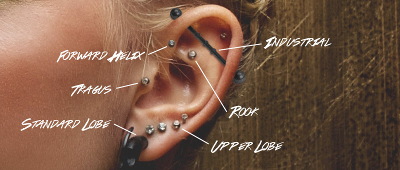 Different Types Ear Piercing