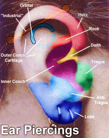Women Ear Piercing Chart
